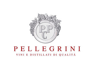 Logo Pellegrini spa