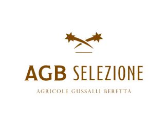 Logo AGB Selezione srl